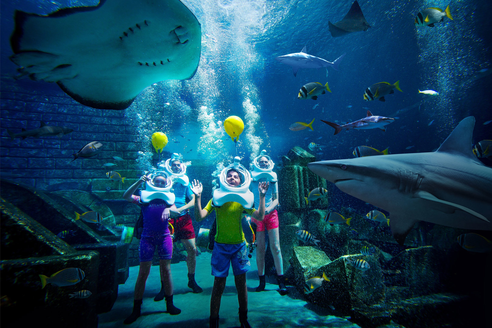 Atlantis_Ambassador Lagoon_DET_11