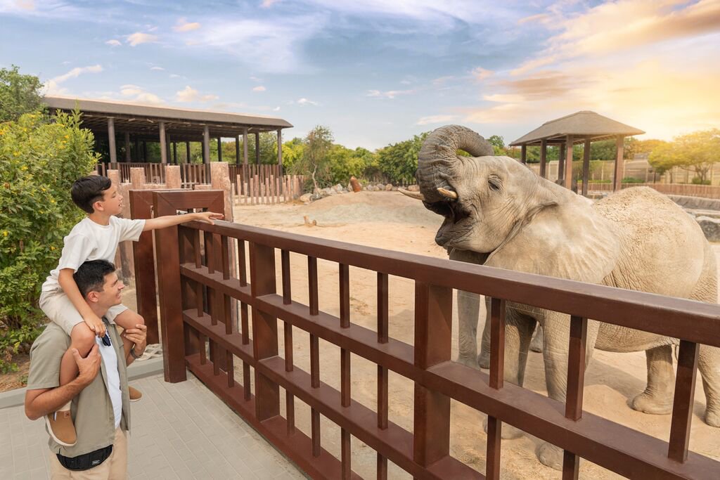 Large-DET_Safari Park_12