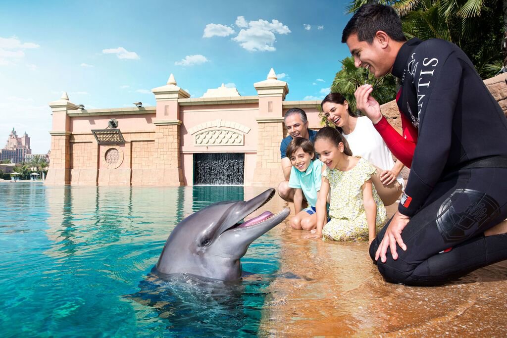 Large-Atlantis_Dolphin Bay _DET_6