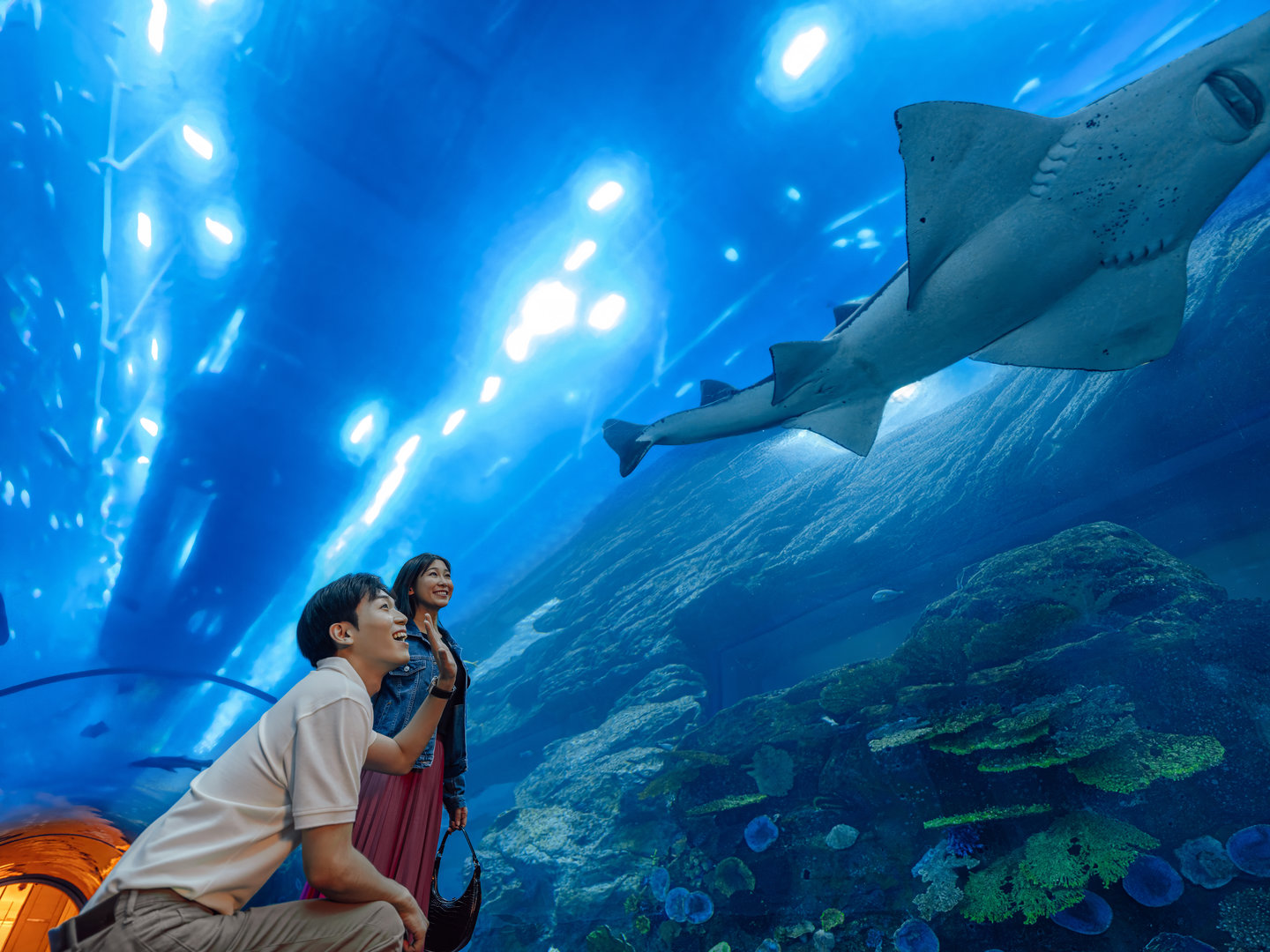 DET_Dubai Aquarium_Dubai Mall_2