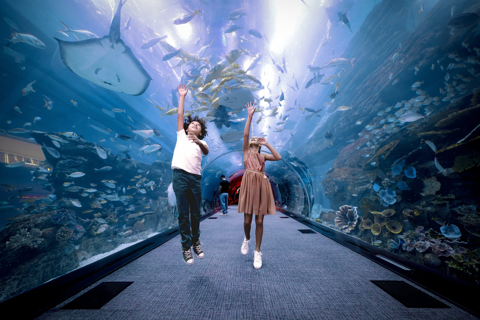 DET_Dubai Aquarium & Underwater Zoo_6